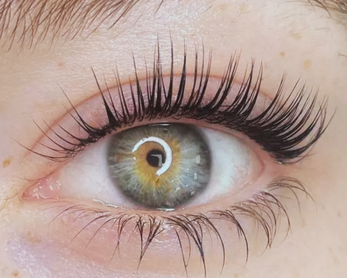 lash lift
